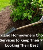 Why Auckland Homeowners Choose Yard Cleanup Services to Keep Their Properties Looking Their Best