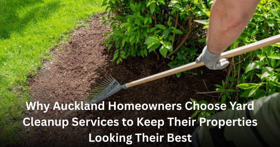 professional yard cleanup service removing garden debris and maintaining landscape in Auckland