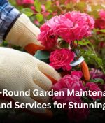 Year-Round Garden Maintenance Auckland Services for Stunning Yards