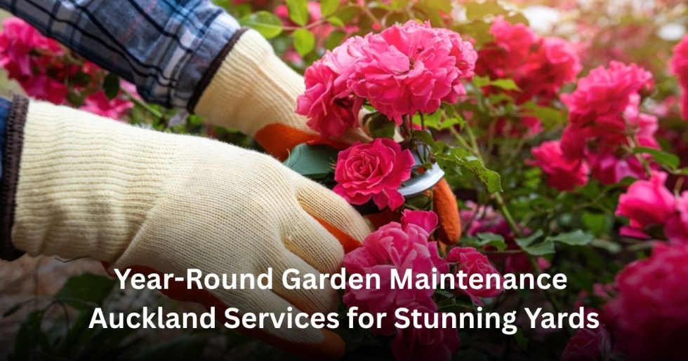 professional garden maintenance service caring for flowering plants and garden beds in Auckland