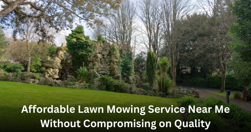 affordable lawn mowing service near me providing quality lawn care for residential properties