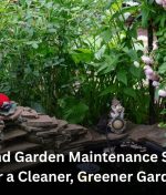 Auckland Garden Maintenance Services for a Cleaner, Greener Garden