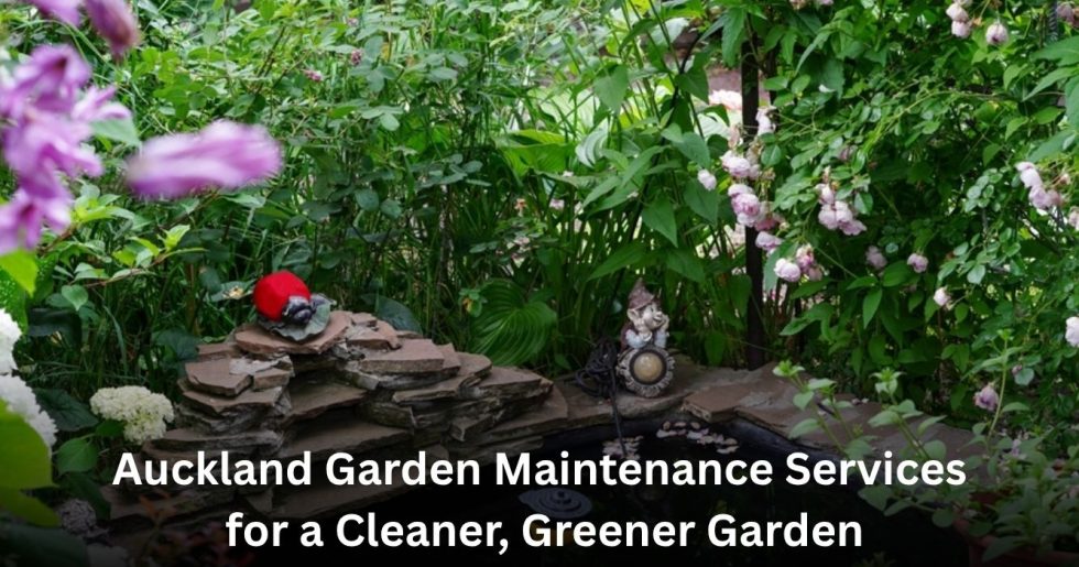 Garden maintenance Auckland service creating a cleaner and greener garden with professional care.