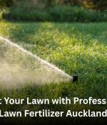 Boost Your Lawn with Professional Lawn Fertilizer Auckland