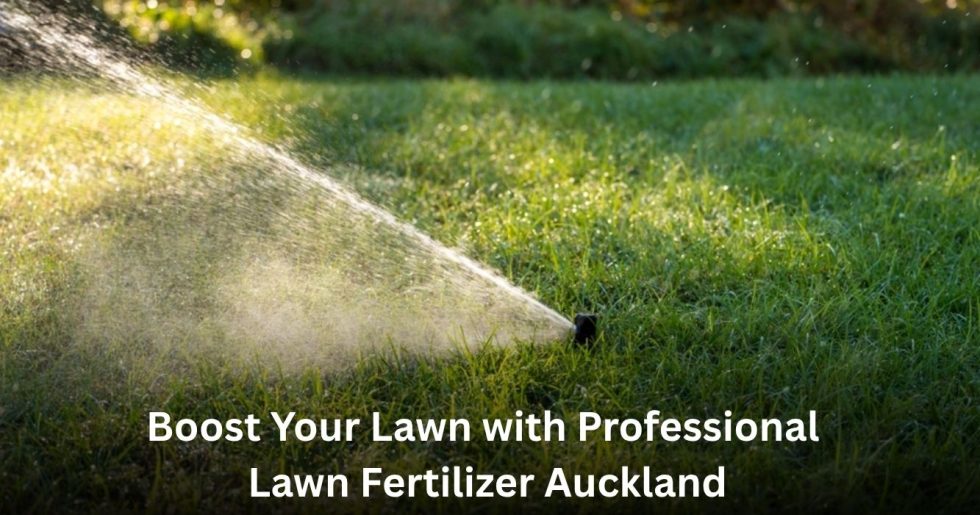 Professional Lawn Fertilizer Auckland service improving a healthy green lawn for Auckland homes.