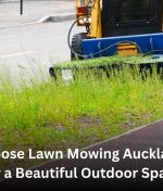Choose Lawn Mowing Auckland for a Beautiful Outdoor Space