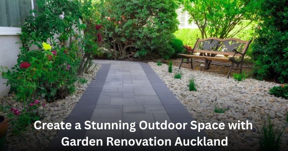 Garden Renovation Auckland project featuring a modern landscaped garden with paved walkway and decorative stone beds.