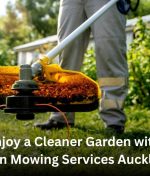 Enjoy a Cleaner Garden with Lawn Mowing Services Auckland