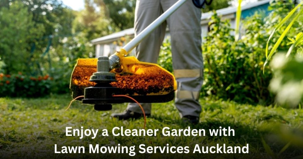 Professional lawn mowing services Auckland trimming grass to keep a residential garden clean and well maintained.