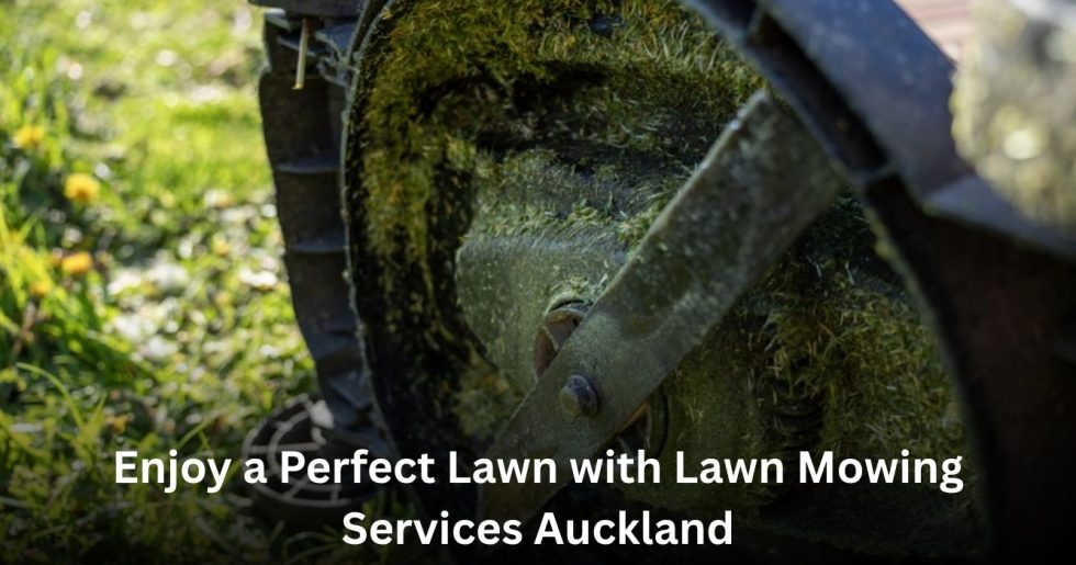 Lawn Mowing Services Auckland using professional equipment to maintain a healthy, well-trimmed lawn.