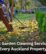 Expert Garden Cleaning Services for Every Auckland Property