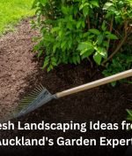 Fresh Landscaping Ideas from Auckland’s Garden Experts
