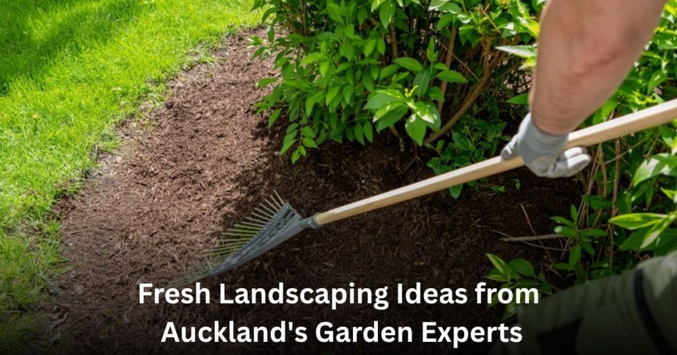 Professional landscaping services improving a garden with fresh mulch and expert garden care in Auckland.