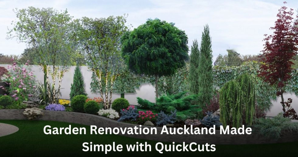 Garden renovation Auckland by QuickCuts transforming an outdoor space with professional landscaping and planting.