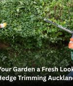 Give Your Garden a Fresh Look with Hedge Trimming Auckland