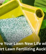 Give Your Lawn New Life with Expert Lawn Fertilizing Auckland