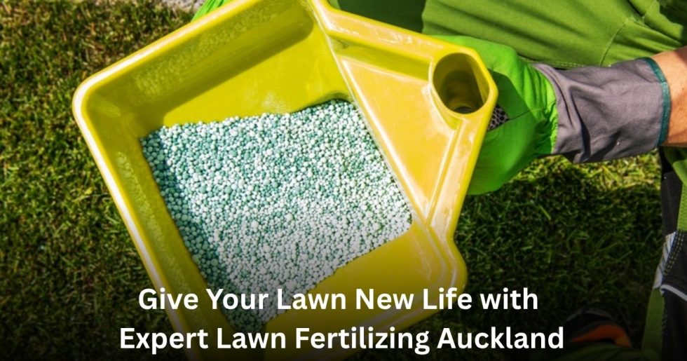 Professional Lawn Fertilizing Auckland service applying lawn fertilizer to promote healthy green grass.