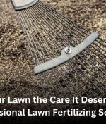 Give Your Lawn the Care It Deserves with Professional Lawn Fertilizing Services