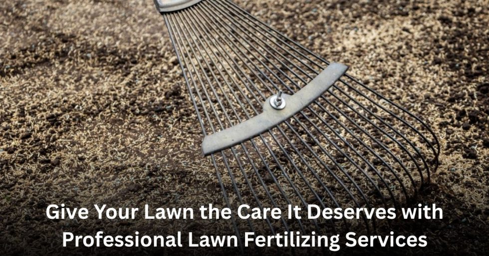 Professional lawn fertilizing services improving soil health and promoting a greener, healthier lawn.