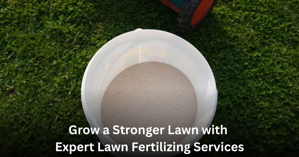 Expert lawn fertilizing services applying premium fertilizer to promote a greener and healthier lawn.