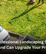 How Professional Landscaping Services Auckland Can Upgrade Your Property