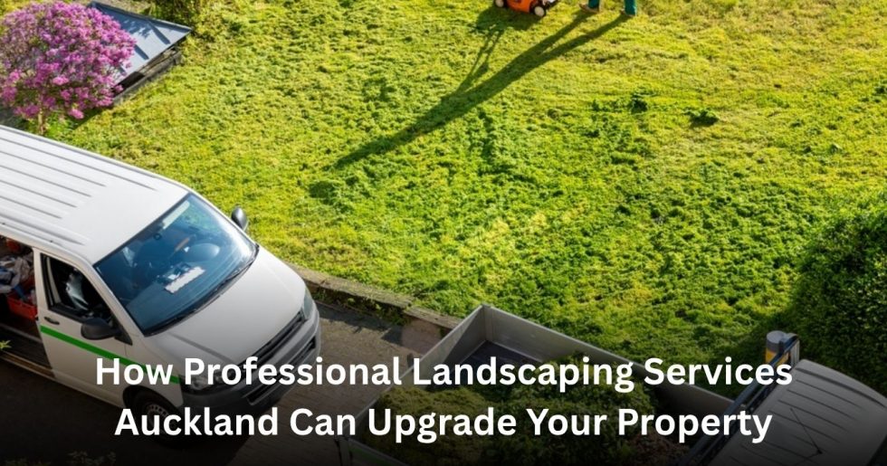 professional landscaping services Auckland improving residential outdoor property appearance