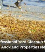 How Professional Yard Cleanup Services Help Keep Auckland Properties Neat All Year