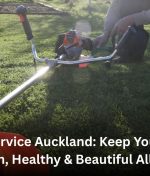 Lawn Service Auckland: Keep Your Lawn Green, Healthy & Beautiful All Year