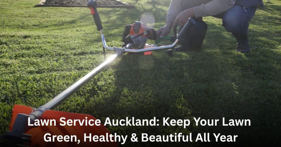 Professional lawn service Auckland maintaining a healthy green lawn with expert lawn care equipment.