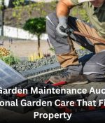 Need Garden Maintenance Auckland? Professional Garden Care That Fits Every Property