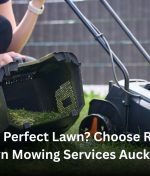 Need a Perfect Lawn? Choose Reliable Lawn Mowing Services Auckland