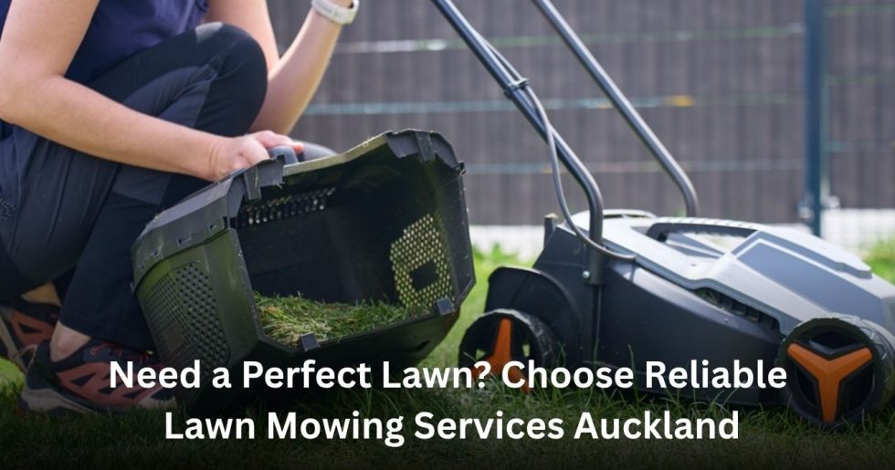reliable lawn mowing services Auckland maintaining a healthy residential lawn