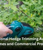 Professional Hedge Trimming Auckland for Homes and Commercial Properties