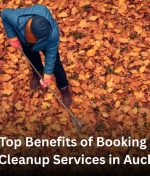 Top Benefits of Booking Yard Cleanup Services in Auckland