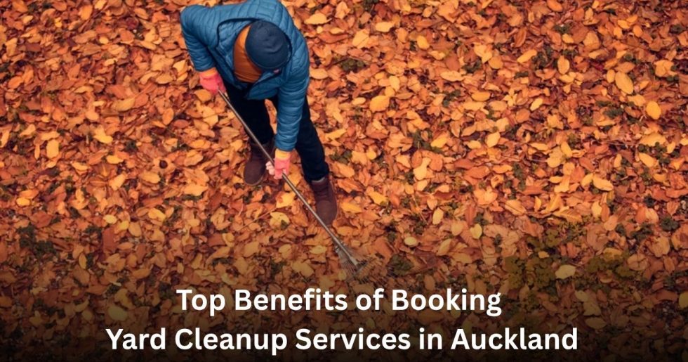 Professional Yard Cleanup Services in Auckland removing fallen leaves from a residential yard.