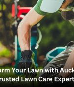 Transform Your Lawn with Auckland’s Trusted Lawn Care Experts