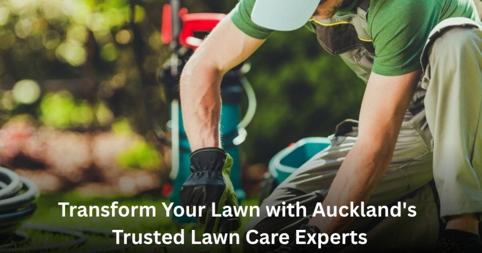 Professional lawn care experts providing lawn maintenance services in Auckland for a healthy green lawn.