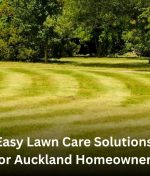 Easy Lawn Care Solutions for Auckland Homeowners