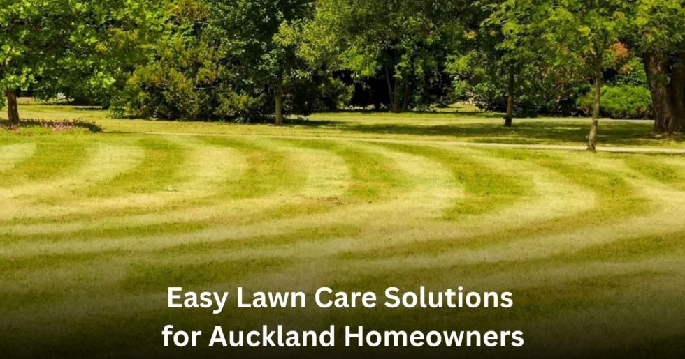 Well-maintained green lawn showing professional lawn care services for Auckland homeowners.