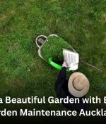 Enjoy a Beautiful Garden with Expert Garden Maintenance Auckland