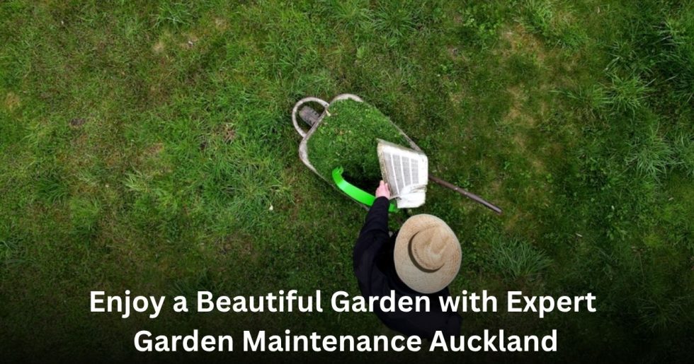 Professional Garden Maintenance Auckland service caring for a healthy residential garden and lawn.