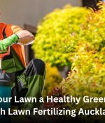 Give Your Lawn a Healthy Green Start with Lawn Fertilizing Auckland