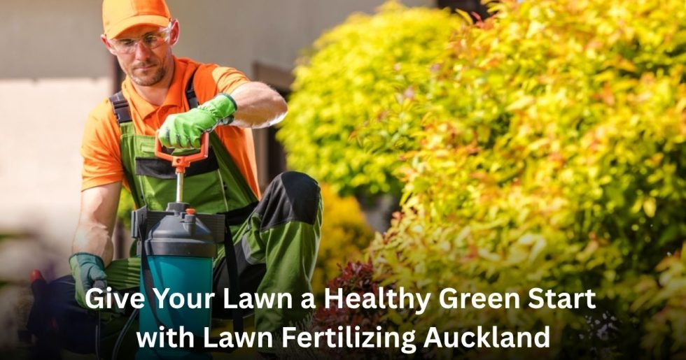 Professional Lawn Fertilizing Auckland service applying lawn treatment for a healthy green lawn.