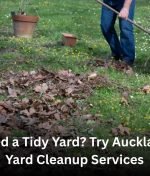 Need a Tidy Yard? Try Auckland Yard Cleanup Services