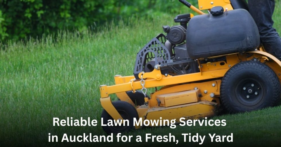 Professional lawn mowing services in Auckland keeping a residential lawn fresh, neat, and well maintained.