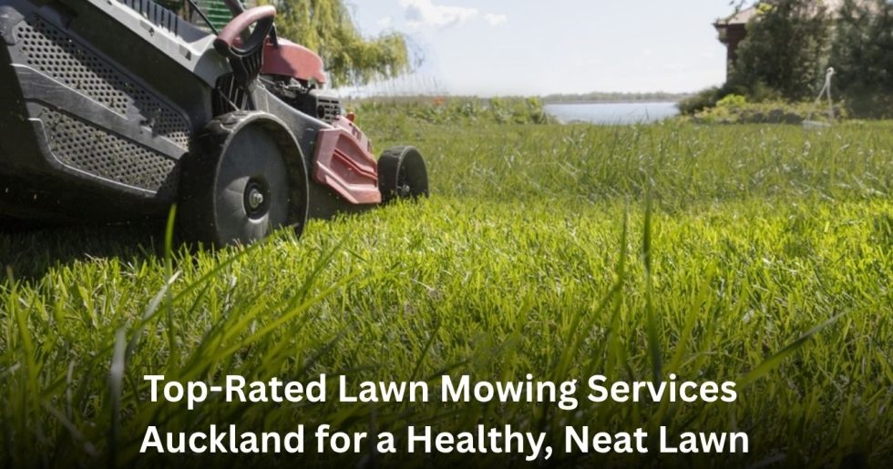 Professional Lawn Mowing Services Auckland cutting a lush green lawn for a neat and healthy finish.