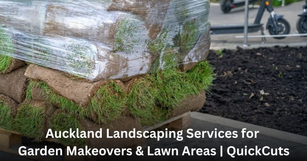 Auckland lawn service providing regular mowing and lawn care for a healthy, neat green lawn.