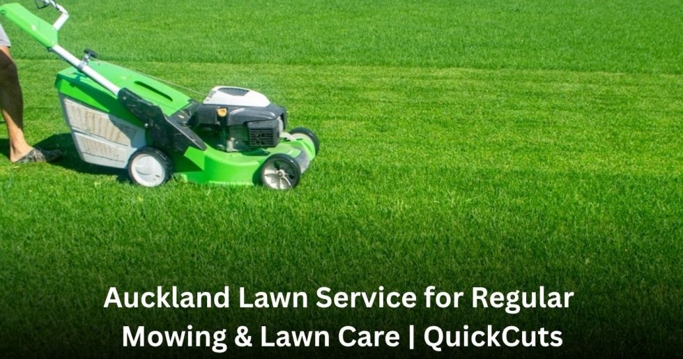 Auckland lawn service providing regular mowing and lawn care for a healthy, neat green lawn.