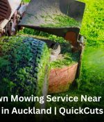 Lawn Mowing Service Near Me in Auckland | QuickCuts