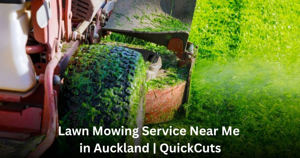Professional lawn mowing service near me in Auckland maintaining a healthy green lawn with commercial mowing equipment.